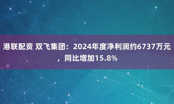 港联配资 双飞集团：2024年度净利润约6737万元，同比增加15.8%