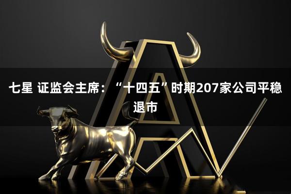 七星 证监会主席：“十四五”时期207家公司平稳退市