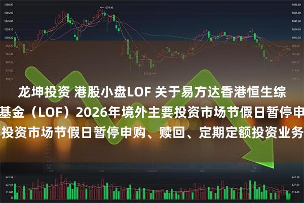 龙坤投资 港股小盘LOF 关于易方达香港恒生综合小型股指数证券投资基金（LOF）2026年境外主要投资市场节假日暂停申购、赎回、定期定额投资业务的公告