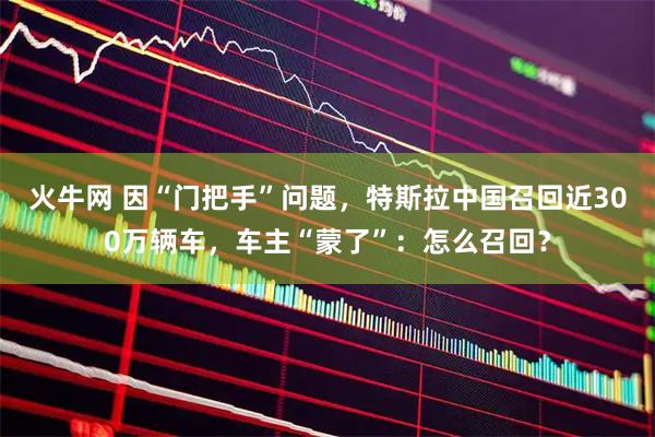 火牛网 因“门把手”问题，特斯拉中国召回近300万辆车，车主“蒙了”：怎么召回？